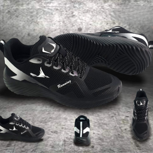 Shop giày sneaker
